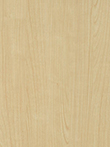 maple1